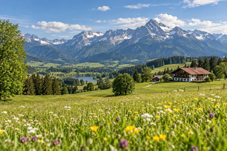 Grüne Alpenwiese und Bergpanorama im Allgäu
